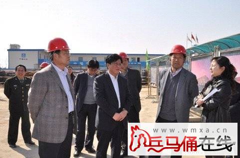 3月28日,张忠堂,张儒运,赵寅科,张新兴等县级前往西安灞生态区