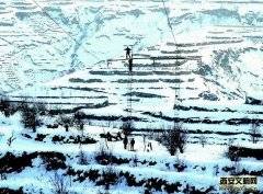 子洲县供电分公司“11.29”特大冰雪灾害抢险记