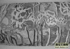 虫雕现身西安 老职工让退休生活更丰富