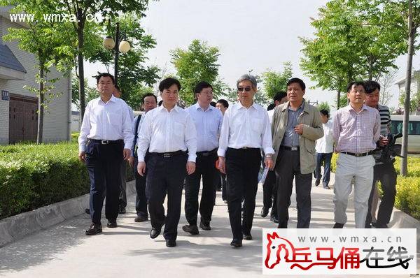 舞阳县张新兴抓了吗 图片合集