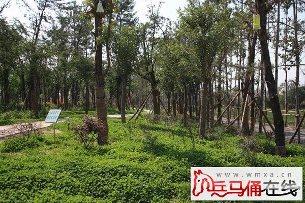 区投资公司对未央区代建工程项目进行联合检查