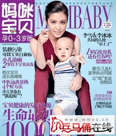 李冰冰<em>妹妹</em>登封面 <em>妹妹</em>李雪<em>对</em>李冰冰事业帮助