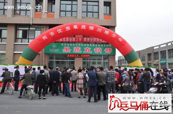 阎良区供销联社组织专业合作社参加西部供销社