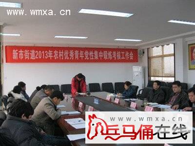 新市街办召开村级后备干部考核考评工作会