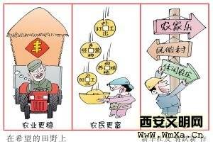 2014年中央一号文件公布 专家解读四大看点