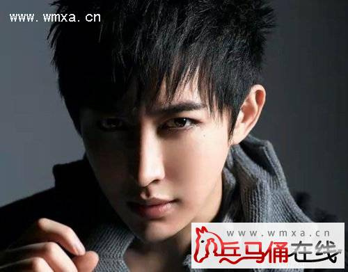 王亦丰魔术破解王亦丰整容前后照片