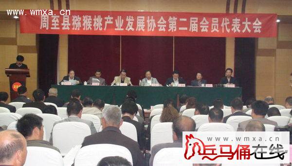 周至县猕猴桃产业发展协会第二届会员代表大会