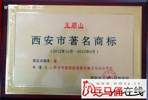 农村合作社_合作社其他收入明细(3)