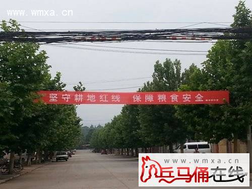 新丰街办开展6·25土地日宣传活动