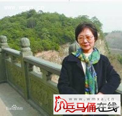 令政策<em>妹夫</em>王健康被查了吗 王健康<em>妻子</em>令方针