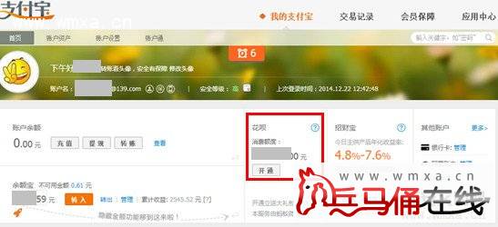 蚂蚁微贷花呗是什么如何开通花呗服务?_兵马