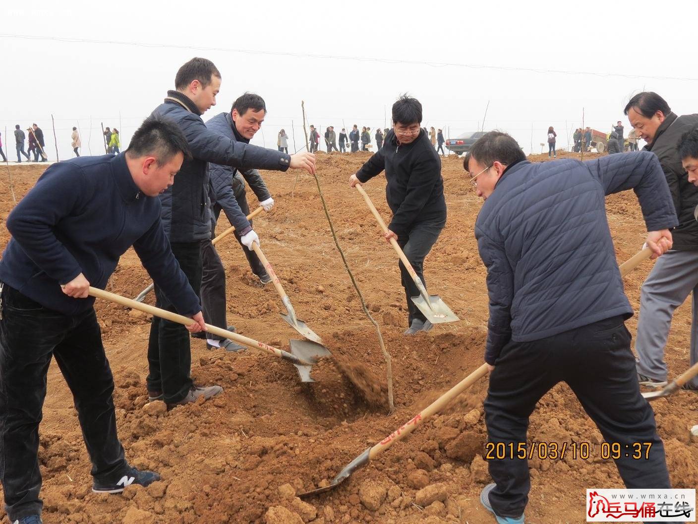 蓝田县组织机关企事业单位干部职工参加义务植