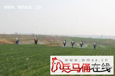 依托新型粮食生产主体 推动专业化统防统治_西