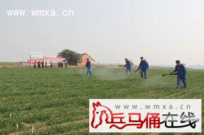 依托新型粮食生产主体 推动专业化统防统治_西