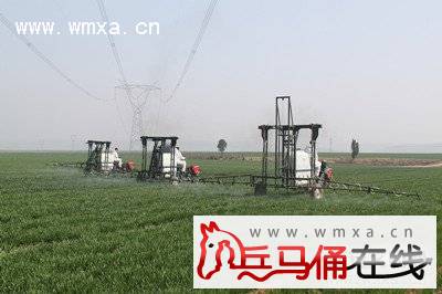 依托新型粮食生产主体 推动专业化统防统治_兵