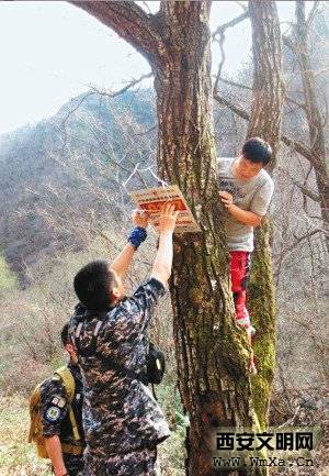 陕西省曙光救援队志愿者为 秦岭 安装防 迷路 导