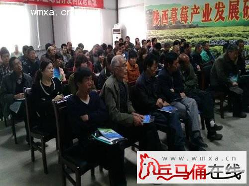 相桥街办举办设施农业种植技术培训会