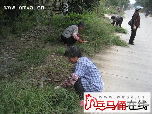 秦陵街办开展城市精细化和环境卫生整治活动