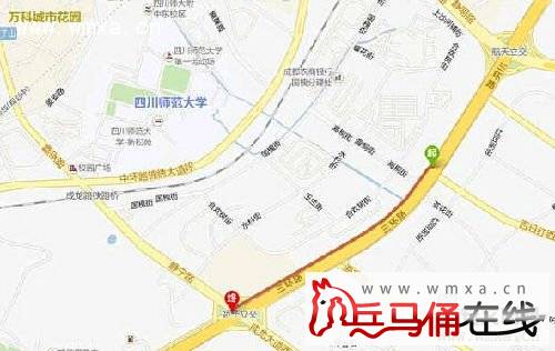 川AD7T67被打视频分析 女司机卢琴人肉资料遭