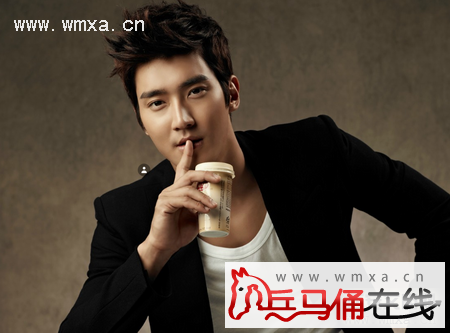 刘雯和崔始源什么关系 刘雯崔始源个人资料及