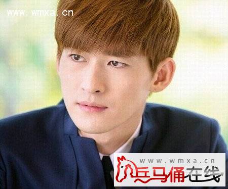 张翰女朋友是古力娜扎还是郑爽 张翰个人资料