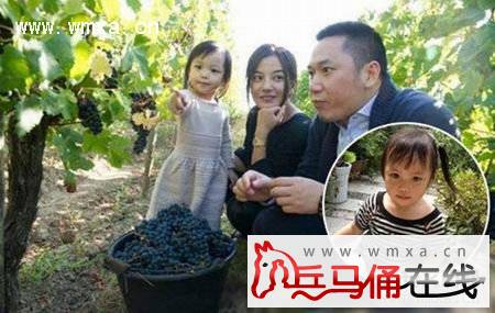 赵薇吸毒被抓照片事件是真的吗 赵薇的个人资