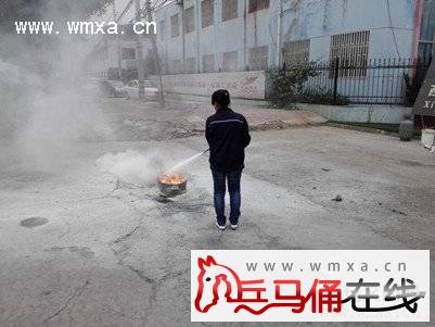 蓝田县工业园企业西安华珠运动草坪有限公司开