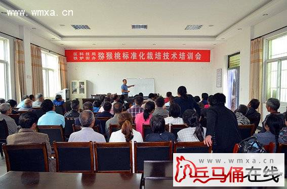 铁炉街办组织开展猕猴桃标准化栽植技术培训