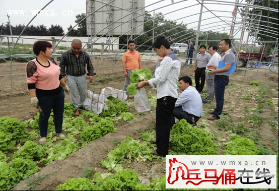 周至区人口_周至水街