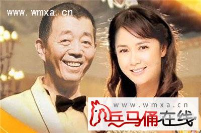 蒋雯丽车震门怎么回事 蒋雯丽与顾长卫离婚了