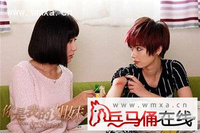 电视剧《你是我的姐妹》剧情简介及各主要角色