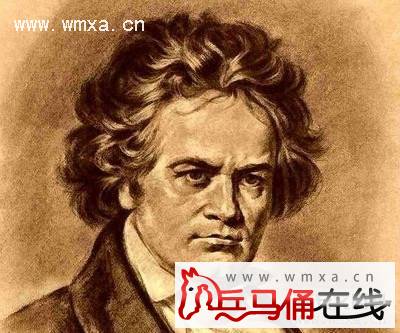 贝多芬生平资料简介 贝多芬是怎么耳聋的_历史