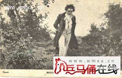 贝多芬生平资料简介 贝多芬是怎么耳聋的_历史