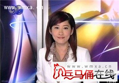 凤凰卫视主持人口音_邓文华采访凤凰卫视主持人 评论员(2)