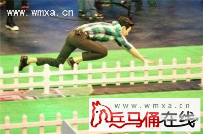 何炅被举报吃空饷主动辞职 何炅录节目与狗赛