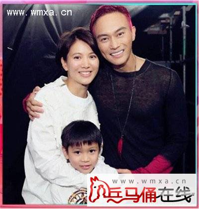 张智霖袁咏仪的真实现状 张智霖袁咏仪的儿子