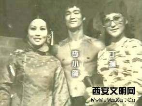 丁佩揭秘李小龙死因 个人资料简介