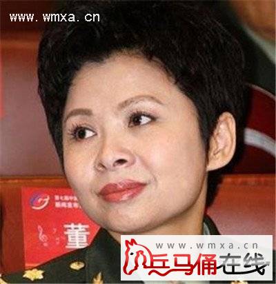 董文华个资料简介 董文华为什么被封杀