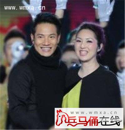 杨千嬅个人资料简介 杨千嬅的老公儿子照片曝