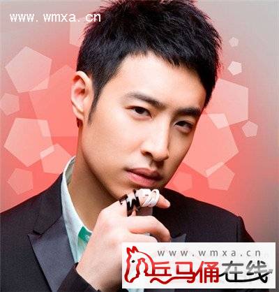 潘玮柏个人资料简介 潘玮柏现在怎么不火了