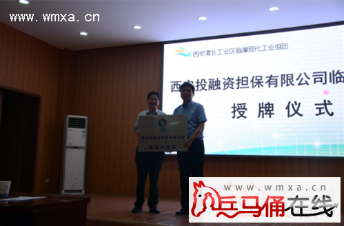 临潼区首家投融资担保有限公司业务部正式运营