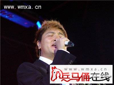 孙楠个人资料简介 孙楠为什么退赛