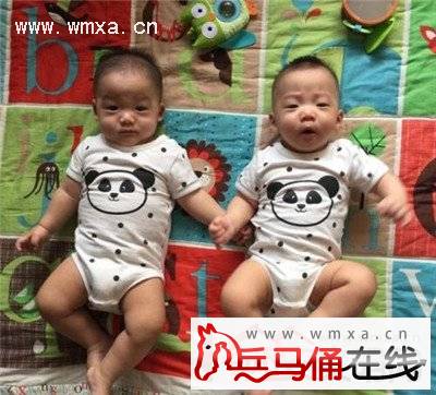 范玮琪人工受孕产双胞胎照片曝光