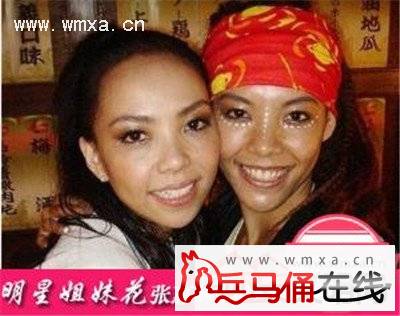 张惠春和<em>张惠妹</em>是什么关系 张惠春的老公是谁