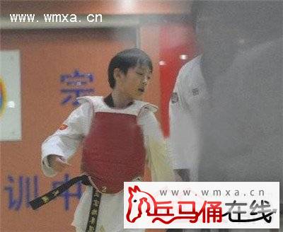 吴秀波个人资料简介 吴秀波老婆和儿子吴瀚的