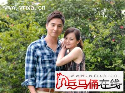 王少伟同性恋是真的吗 王少伟被前妻追讨赡养