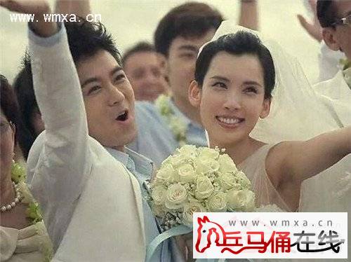 林志颖老婆陈若仪个人资料及家庭背景