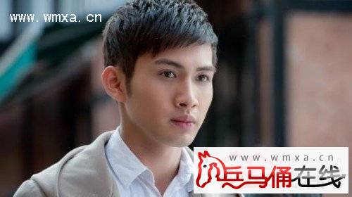 演员张彬彬个人资料简介