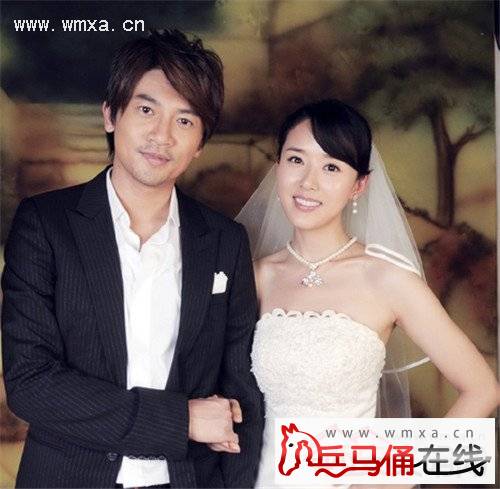 苏有朋结婚了吗老婆是颜丹晨吗 苏有朋个人资料简介