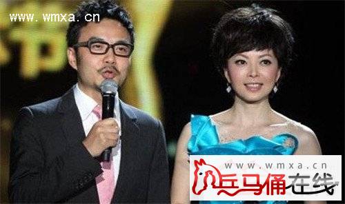 汪涵前妻陈洁资料照片 汪涵陈洁有孩子吗